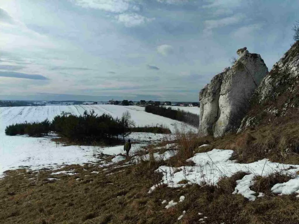 Skotnicowa skała
