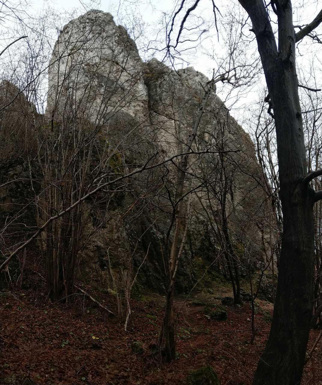 Ogrodzieniec w Słonecznych