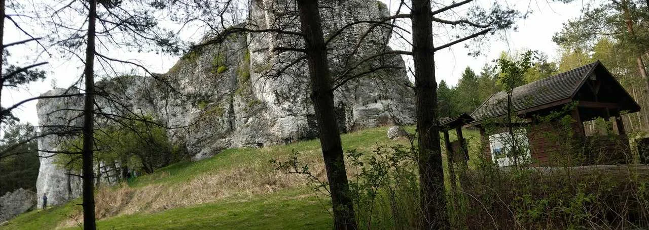 Strażnica Przewodziszowicka
