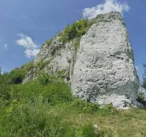 Południowa strona Gołej