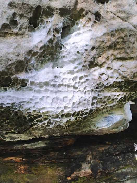 Zdjęcie chwytu umazanego w magnezji