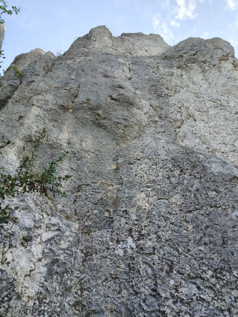 Widok na skałę na trudniejsze drogi wspinaczkowe w sektorze Szafot na Powroźnikowej skale